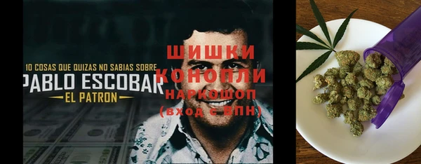 винт Алзамай