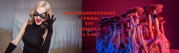 винт Алзамай