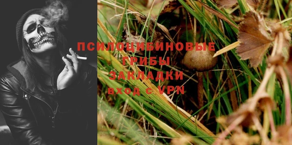 винт Алзамай